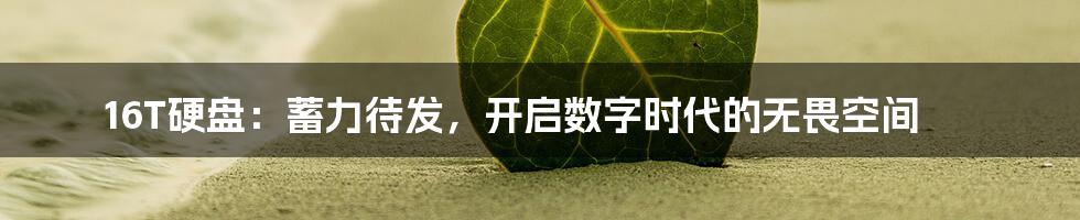 16T硬盘:蓄力待发,开启数字时代的无畏空间