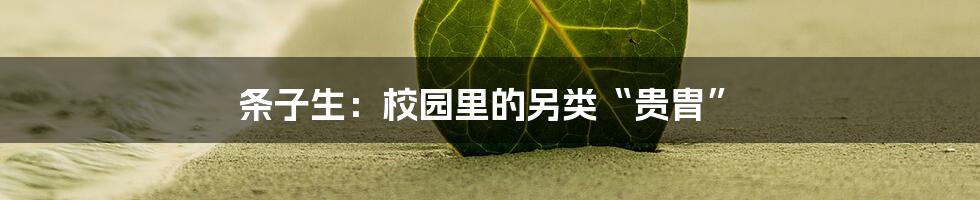 条子生:校园里的另类“贵胄”