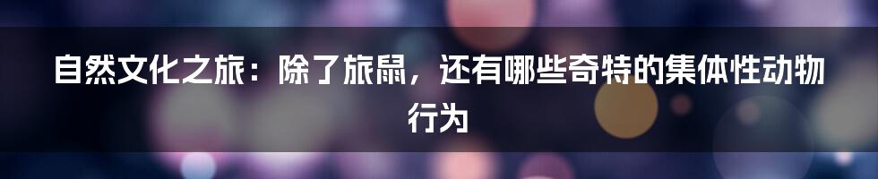 自然文化之旅：除了旅鼠，还有哪些奇特的集体性动物行为