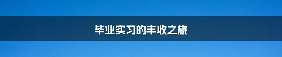 毕业实习的丰收之旅