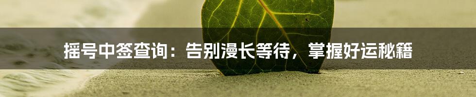 摇号中签查询:告别漫长等待,掌握好运秘籍