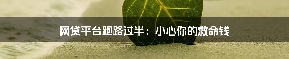 网贷平台跑路过半:小心你的救命钱