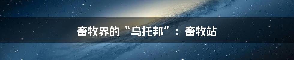 畜牧界的“乌托邦”:畜牧站
