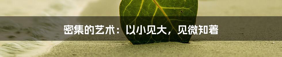 密集的艺术:以小见大,见微知著