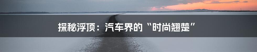 探秘浮顶:汽车界的“时尚翘楚”