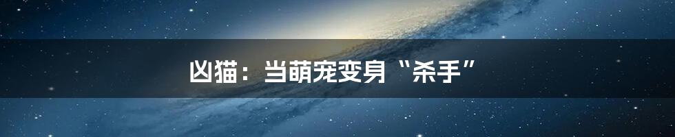 凶猫:当萌宠变身“杀手”