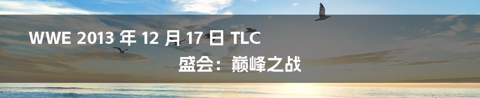 WWE 2013 年 12 月 17 日 TLC 盛会：巅峰之战