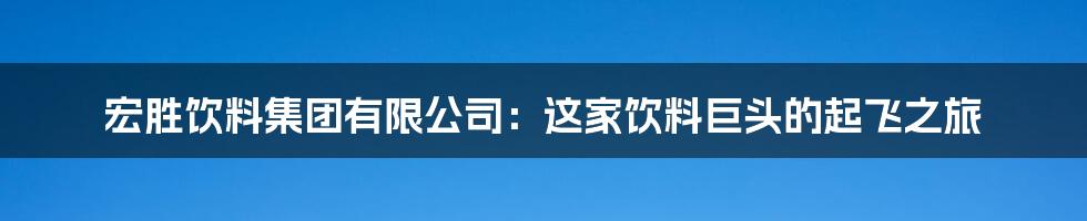 宏胜饮料集团有限公司：这家饮料巨头的起飞之旅