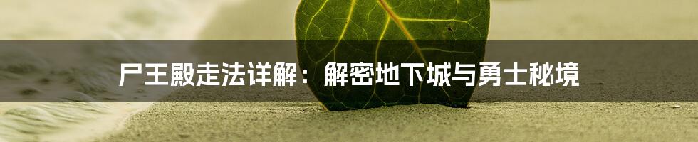 尸王殿走法详解:解密地下城与勇士秘境