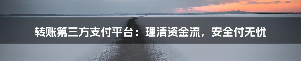 转账第三方支付平台:理清资金流,安全付无忧