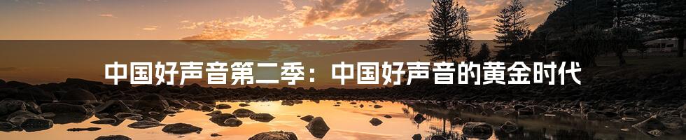 中国好声音第二季:中国好声音的黄金时代