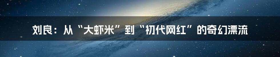 刘良:从“大虾米”到“初代网红”的奇幻漂流