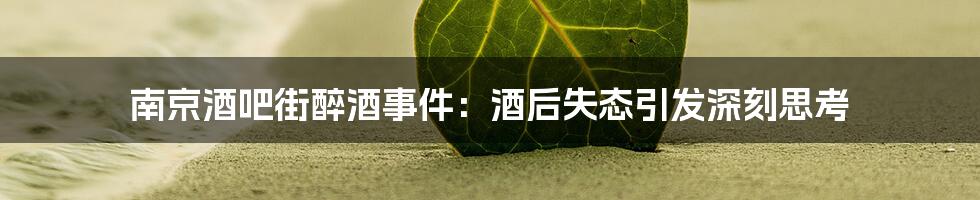 南京酒吧街醉酒事件：酒后失态引发深刻思考