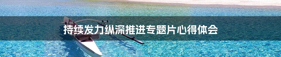 持续发力纵深推进专题片心得体会