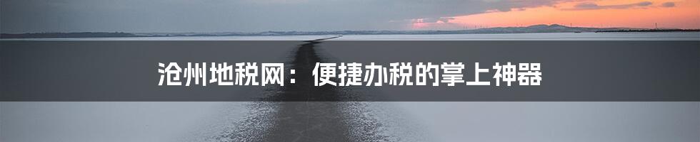 沧州地税网：便捷办税的掌上神器