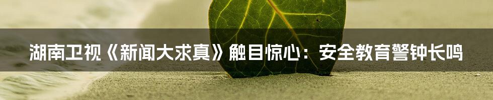 湖南卫视《新闻大求真》触目惊心:安全教育警钟长鸣