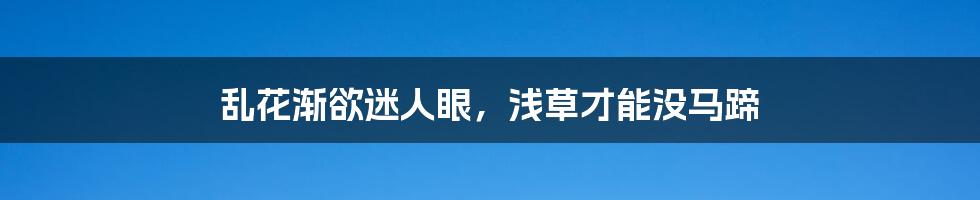乱花渐欲迷人眼,浅草才能没马蹄
