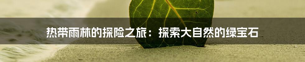 热带雨林的探险之旅:探索大自然的绿宝石