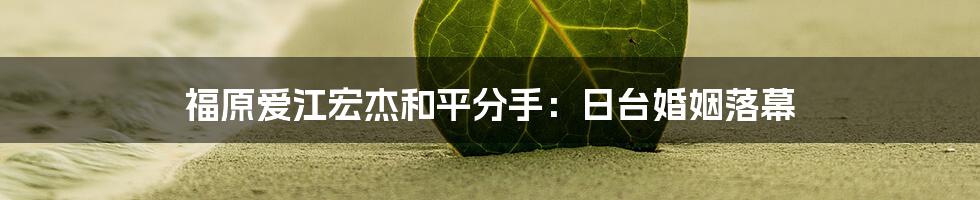 福原爱江宏杰和平分手:日台婚姻落幕