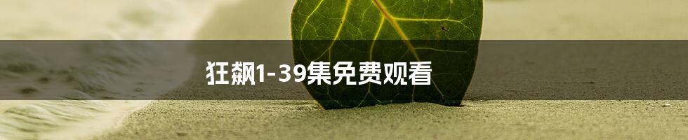 狂飙1-39集免费观看