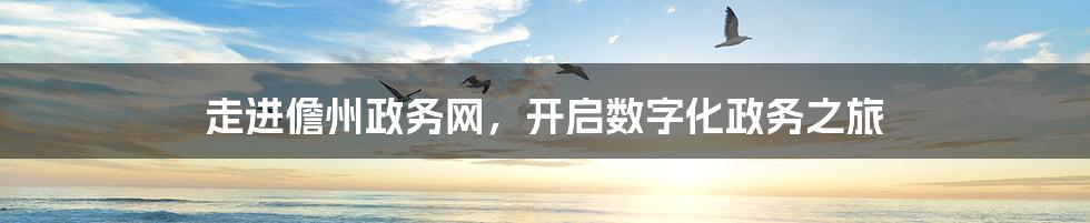 走进儋州政务网,开启数字化政务之旅