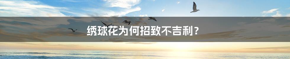 绣球花为何招致不吉利?