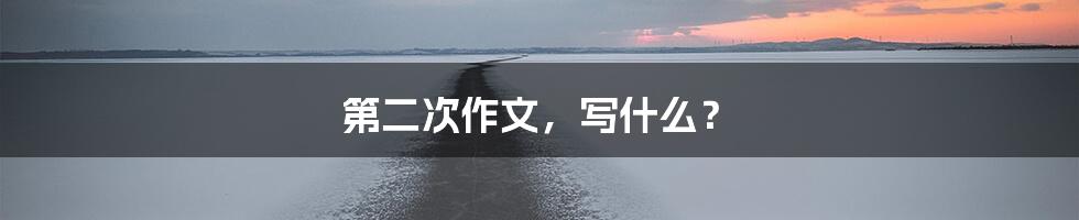 第二次作文,写什么?
