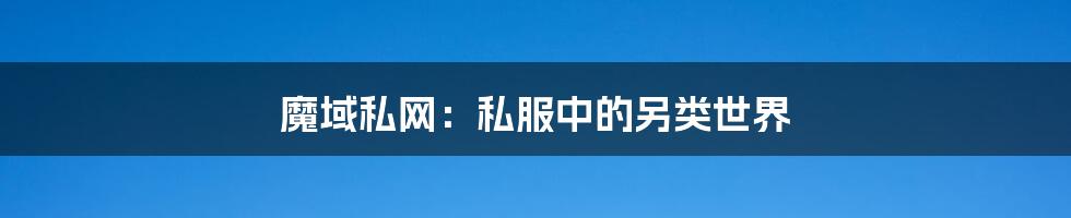 魔域私网:私服中的另类世界