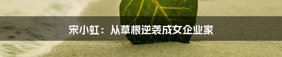 宋小虹:从草根逆袭成女企业家