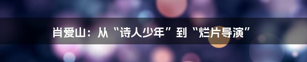 肖爱山:从“诗人少年”到“烂片导演”