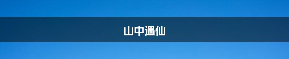 山中遇仙