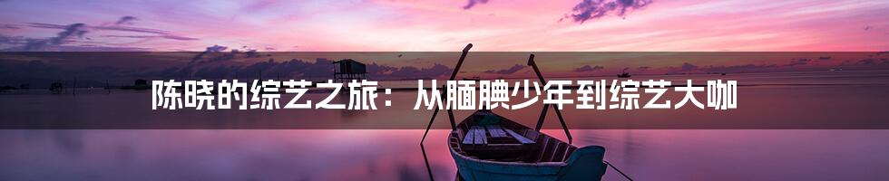 陈晓的综艺之旅:从腼腆少年到综艺大咖