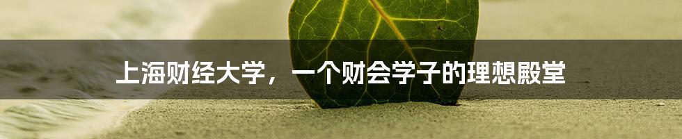 上海财经大学，一个财会学子的理想殿堂