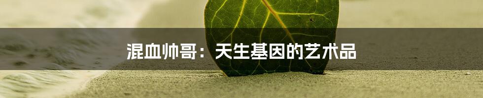 混血帅哥：天生基因的艺术品