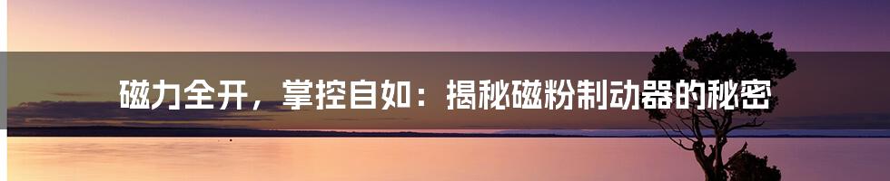 磁力全开,掌控自如:揭秘磁粉制动器的秘密