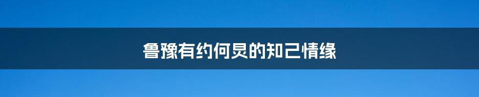 鲁豫有约何炅的知己情缘