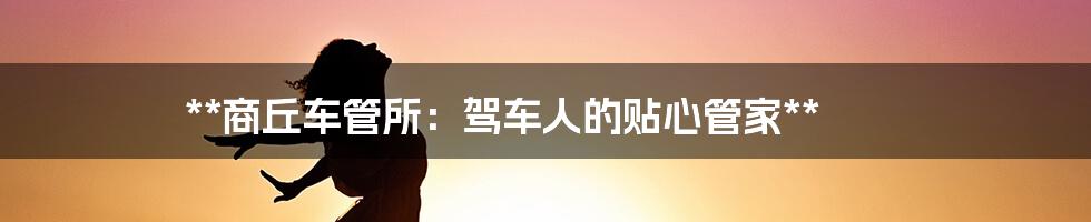 **商丘车管所：驾车人的贴心管家**