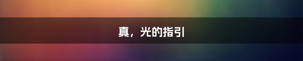 真，光的指引