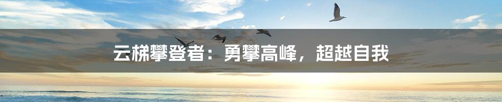 云梯攀登者:勇攀高峰,超越自我