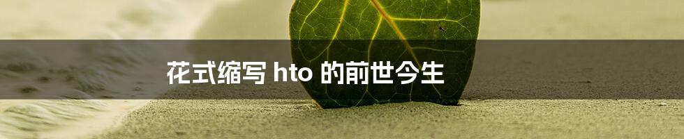 花式缩写 hto 的前世今生