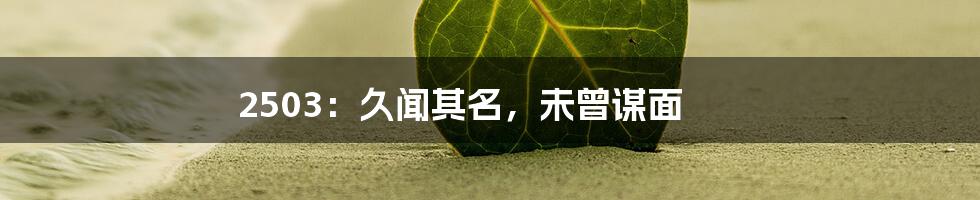 2503:久闻其名,未曾谋面