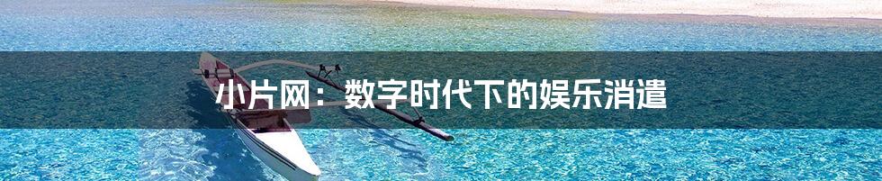 小片网:数字时代下的娱乐消遣