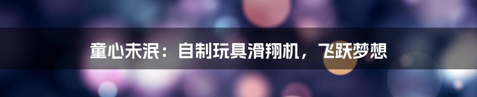 童心未泯：自制玩具滑翔机，飞跃梦想