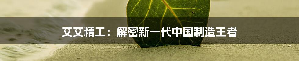 艾艾精工：解密新一代中国制造王者