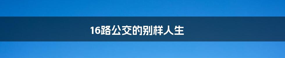 16路公交的别样人生