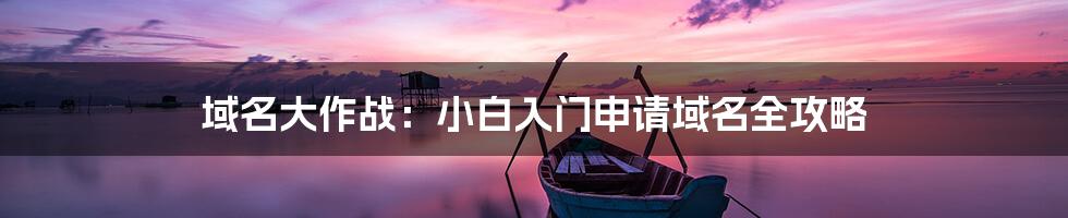 域名大作战:小白入门申请域名全攻略