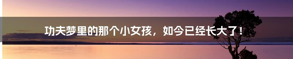 功夫梦里的那个小女孩,如今已经长大了!