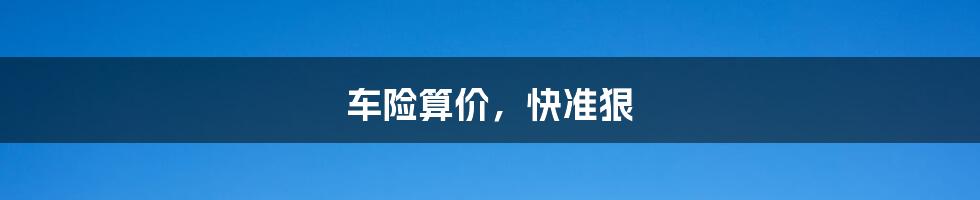 车险算价,快准狠