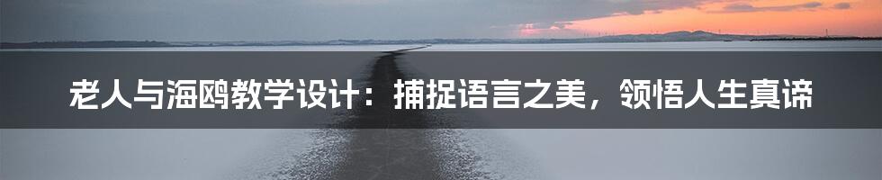 老人与海鸥教学设计：捕捉语言之美，领悟人生真谛