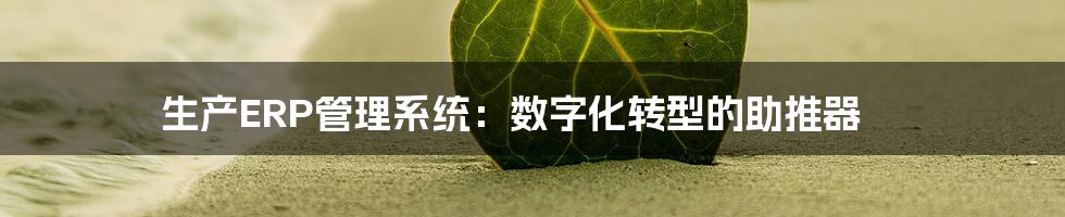 生产ERP管理系统:数字化转型的助推器